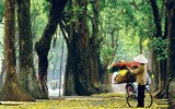 [ẢNH] Lạc lối giữa những con đường lãng mạn như phim trường